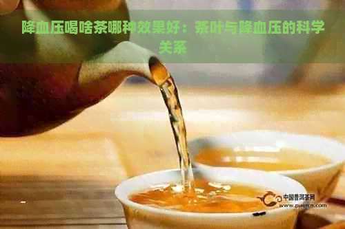 降血压喝啥茶哪种效果好：茶叶与降血压的科学关系