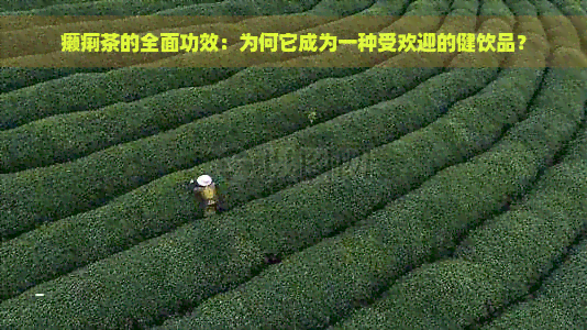 癞痢茶的全面功效：为何它成为一种受欢迎的健饮品？