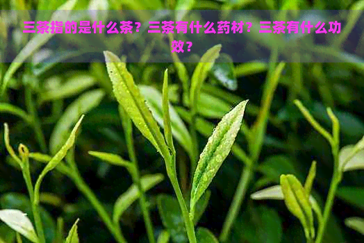 三茶指的是什么茶？三茶有什么药材？三茶有什么功效？