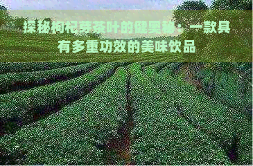 探秘枸杞芽茶叶的健奥秘：一款具有多重功效的美味饮品