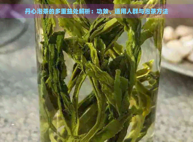 丹心泡茶的多重益处解析：功效、适用人群与泡茶方法