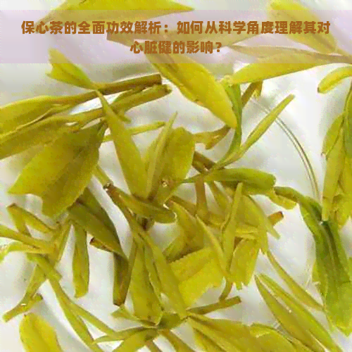 保心茶的全面功效解析：如何从科学角度理解其对心脏健的影响？