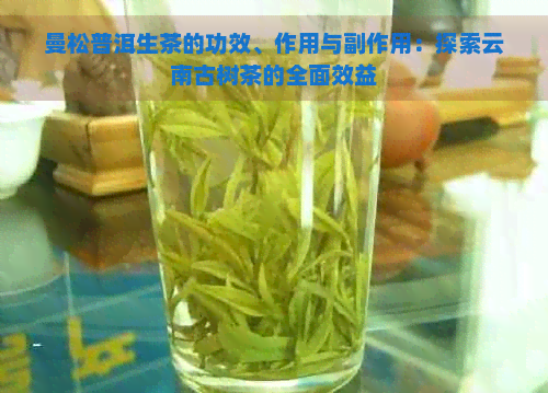 曼松普洱生茶的功效、作用与副作用：探索云南古树茶的全面效益