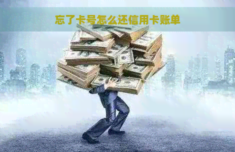 忘了卡号怎么还信用卡账单