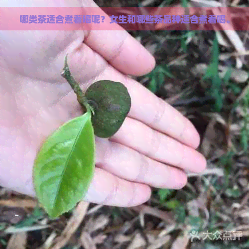 哪类茶适合煮着喝呢？女生和哪些茶品种适合煮着喝。