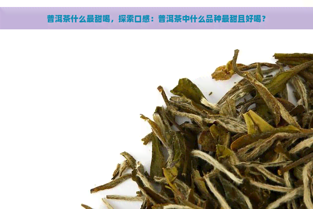 普洱茶什么最甜喝，探索口感：普洱茶中什么品种最甜且好喝？