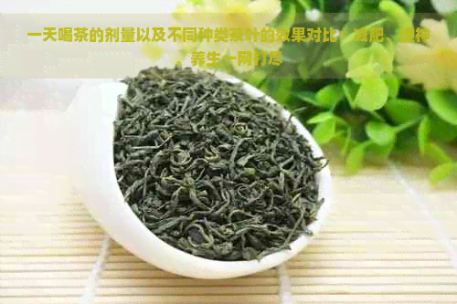 一天喝茶的剂量以及不同种类茶叶的效果对比：减肥、提神、养生一网打尽