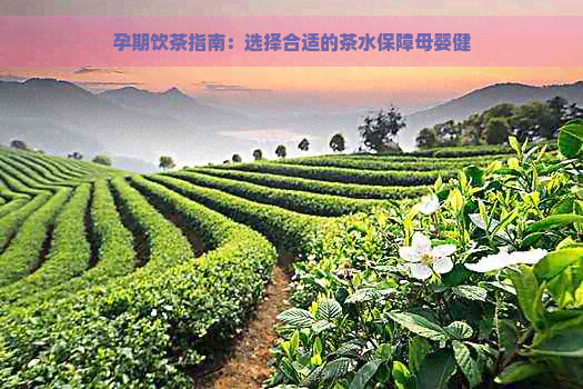 孕期饮茶指南：选择合适的茶水保障母婴健