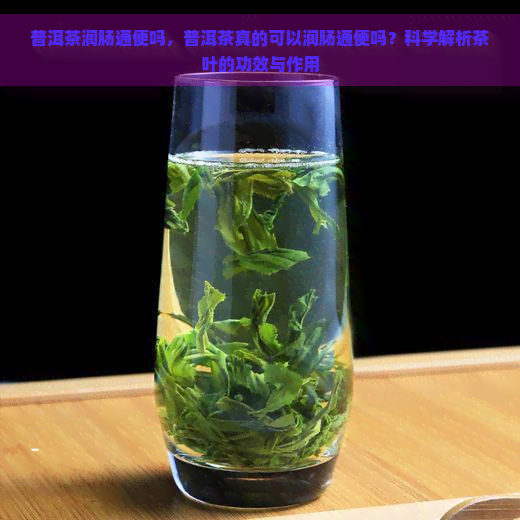 普洱茶润肠通便吗，普洱茶真的可以润肠通便吗？科学解析茶叶的功效与作用