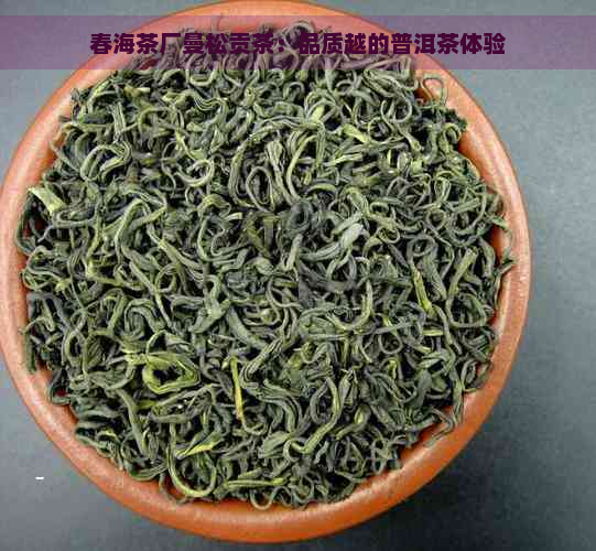 春海茶厂曼松贡茶：品质越的普洱茶体验