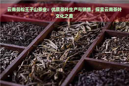 云南曼松王子山茶业：优质茶叶生产与销售，探索云南茶叶文化之美
