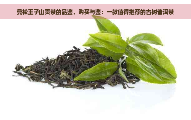 曼松王子山贡茶的品鉴、购买与鉴：一款值得推荐的古树普洱茶