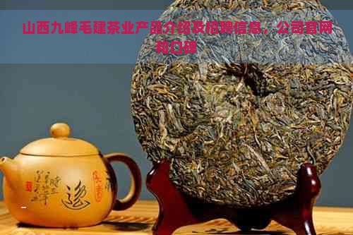 山西九峰毛建茶业产品介绍及招聘信息，公司官网和口碑