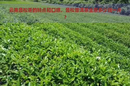 云南曼松茶的特点和口感，曼松普洱茶生茶多少钱一斤？