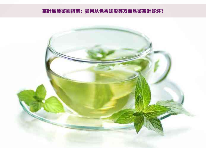 茶叶品质鉴别指南：如何从色香味形等方面品鉴茶叶好坏？