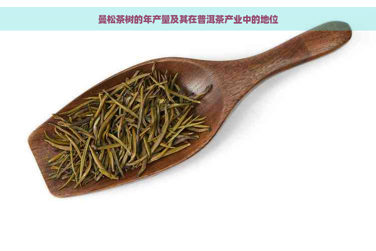 曼松茶树的年产量及其在普洱茶产业中的地位