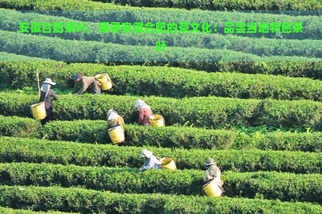 安徽合肥茶叶，探寻安徽合肥的茶文化：品尝当地特色茶叶