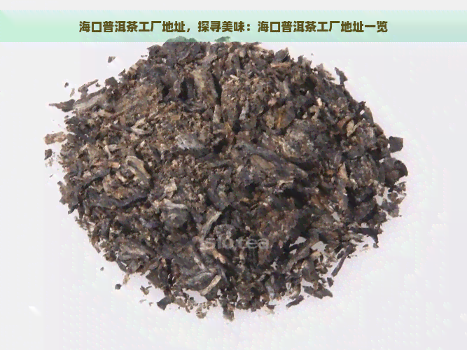 海口普洱茶工厂地址，探寻美味：海口普洱茶工厂地址一览