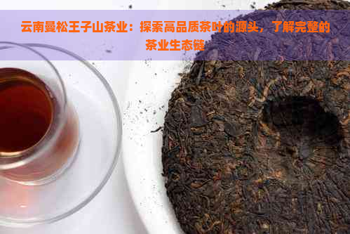云南曼松王子山茶业：探索高品质茶叶的源头，了解完整的茶业生态链