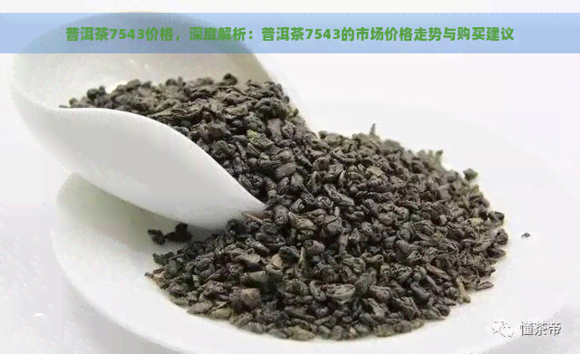 普洱茶7543价格，深度解析：普洱茶7543的市场价格走势与购买建议