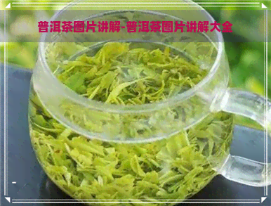 普洱茶图片讲解-普洱茶图片讲解大全