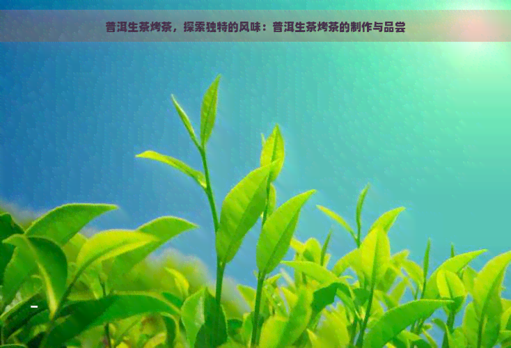 普洱生茶烤茶，探索独特的风味：普洱生茶烤茶的制作与品尝