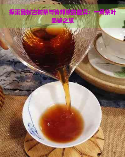 探索曼松古树茶与倚邦茶的差异：一场茶叶品鉴之旅