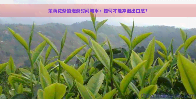 茉莉花茶的泡茶时间与水：如何才能冲泡出口感？