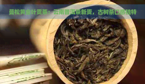 曼松黄金叶贡茶：云南普洱茶新贵，古树茶口感独特