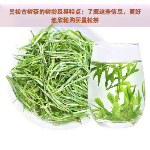 曼松古树茶的树龄及其特点：了解这些信息，更好地欣和购买曼松茶