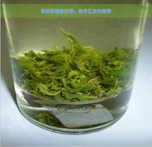 曼松茶哪家好喝：精华汇总与推荐