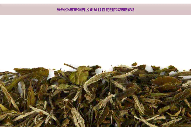 曼松茶与贡茶的区别及各自的独特功效探究