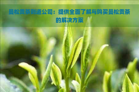 曼松贡茶则道公司：提供全面了解与购买曼松贡茶的解决方案