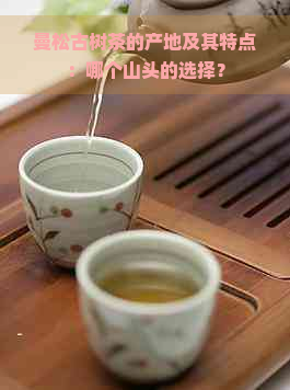 曼松古树茶的产地及其特点：哪个山头的选择？
