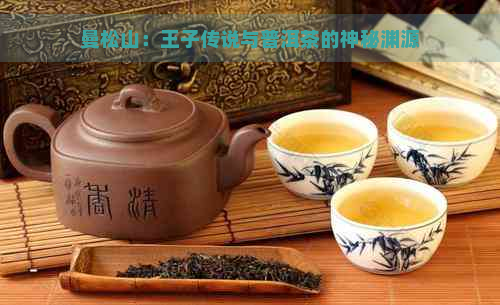 曼松山：王子传说与普洱茶的神秘渊源