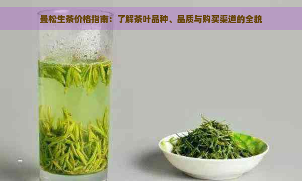 曼松生茶价格指南：了解茶叶品种、品质与购买渠道的全貌