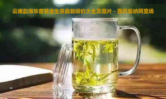 云南勐海华普茶业生茶最新报价大全及图片 - 西双版纳阿里场