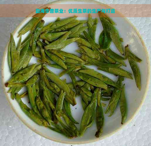 勐海华普茶业：优质生茶的生产与打造