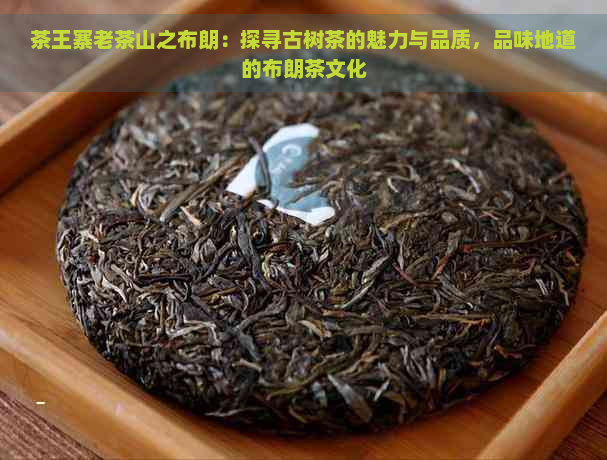 茶王寨老茶山之布朗：探寻古树茶的魅力与品质，品味地道的布朗茶文化