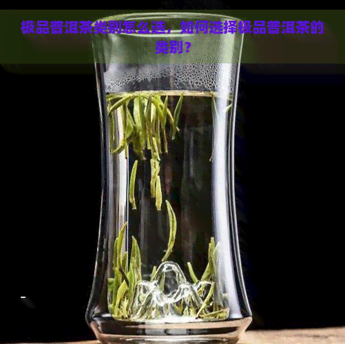 极品普洱茶类别怎么选，如何选择极品普洱茶的类别？