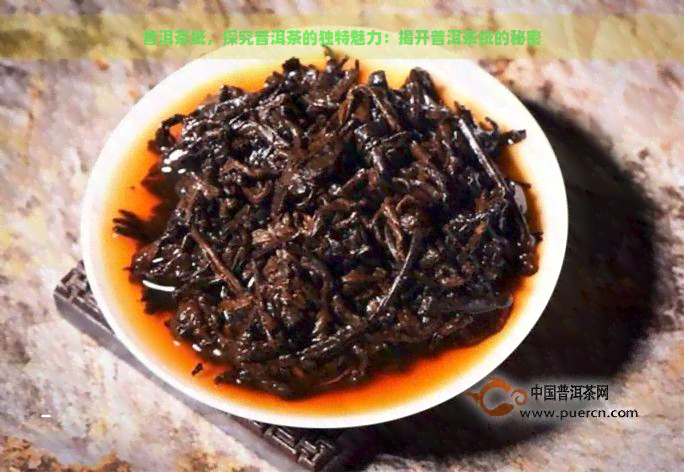 普洱茶纸，探究普洱茶的独特魅力：揭开普洱茶纸的秘密