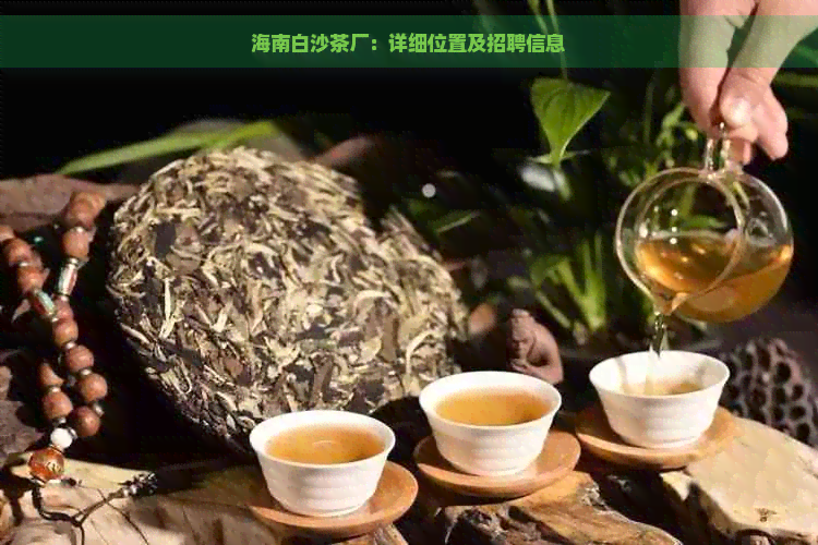 海南白沙茶厂：详细位置及招聘信息