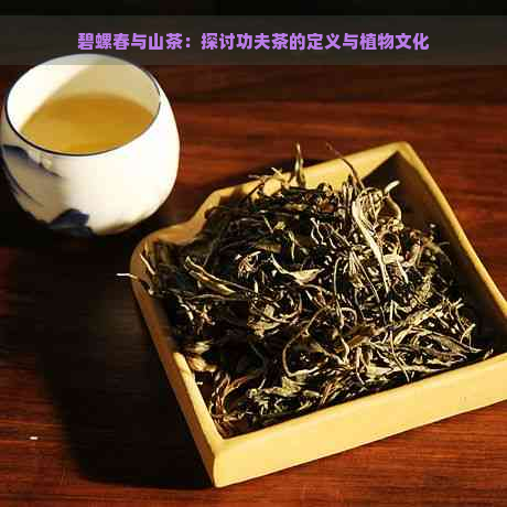 碧螺春与山茶：探讨功夫茶的定义与植物文化