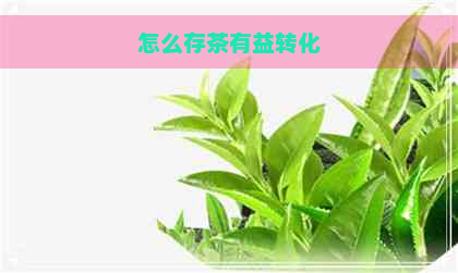 怎么存茶有益转化