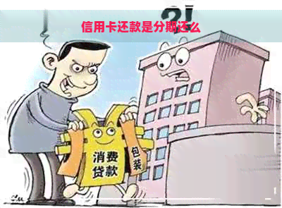 信用卡还款是分期还么