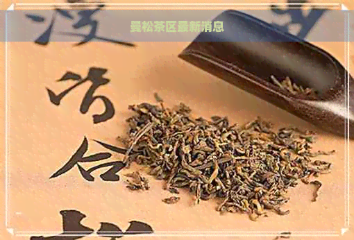 曼松茶区最新消息