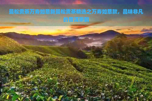 曼松贡茶万寿如意新曼松贡茶精选之万寿如意款，品味非凡的普洱茶韵