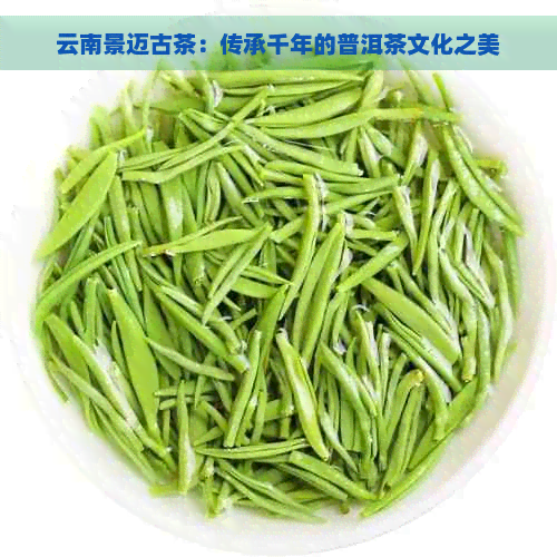 云南景迈古茶：传承千年的普洱茶文化之美