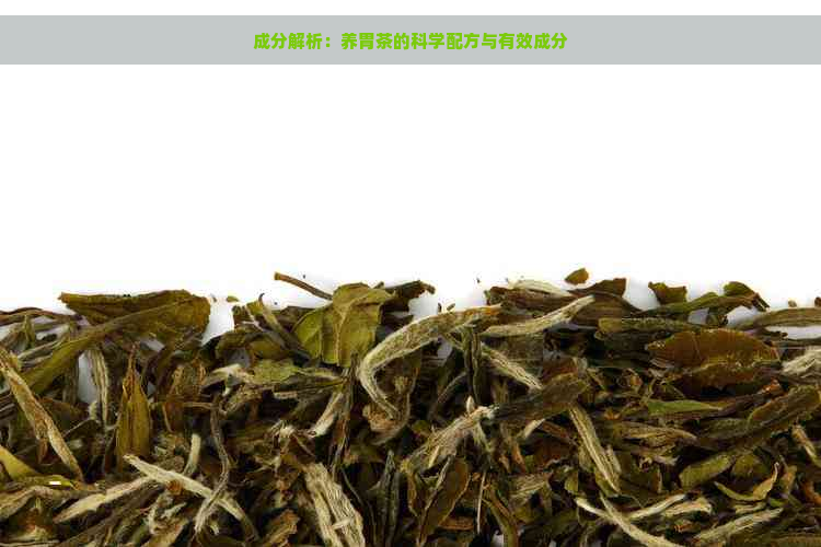 成分解析：养胃茶的科学配方与有效成分