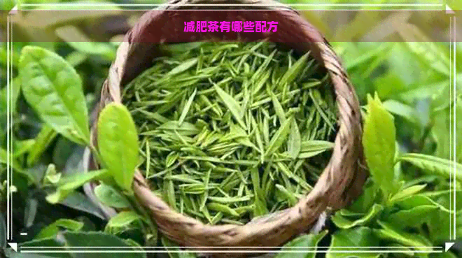 减肥茶有哪些配方